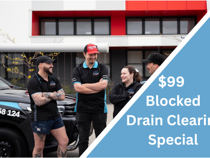 how best to clean drains — The Plumbing & Roofing Company