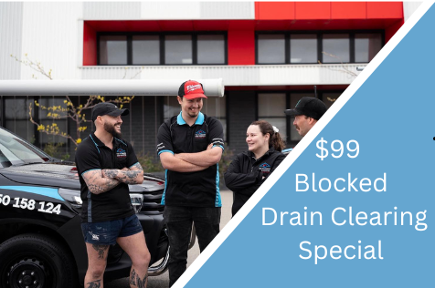 Blocked Drains Cranbourne: How Tree Roots and Grease Affect Your Pipes