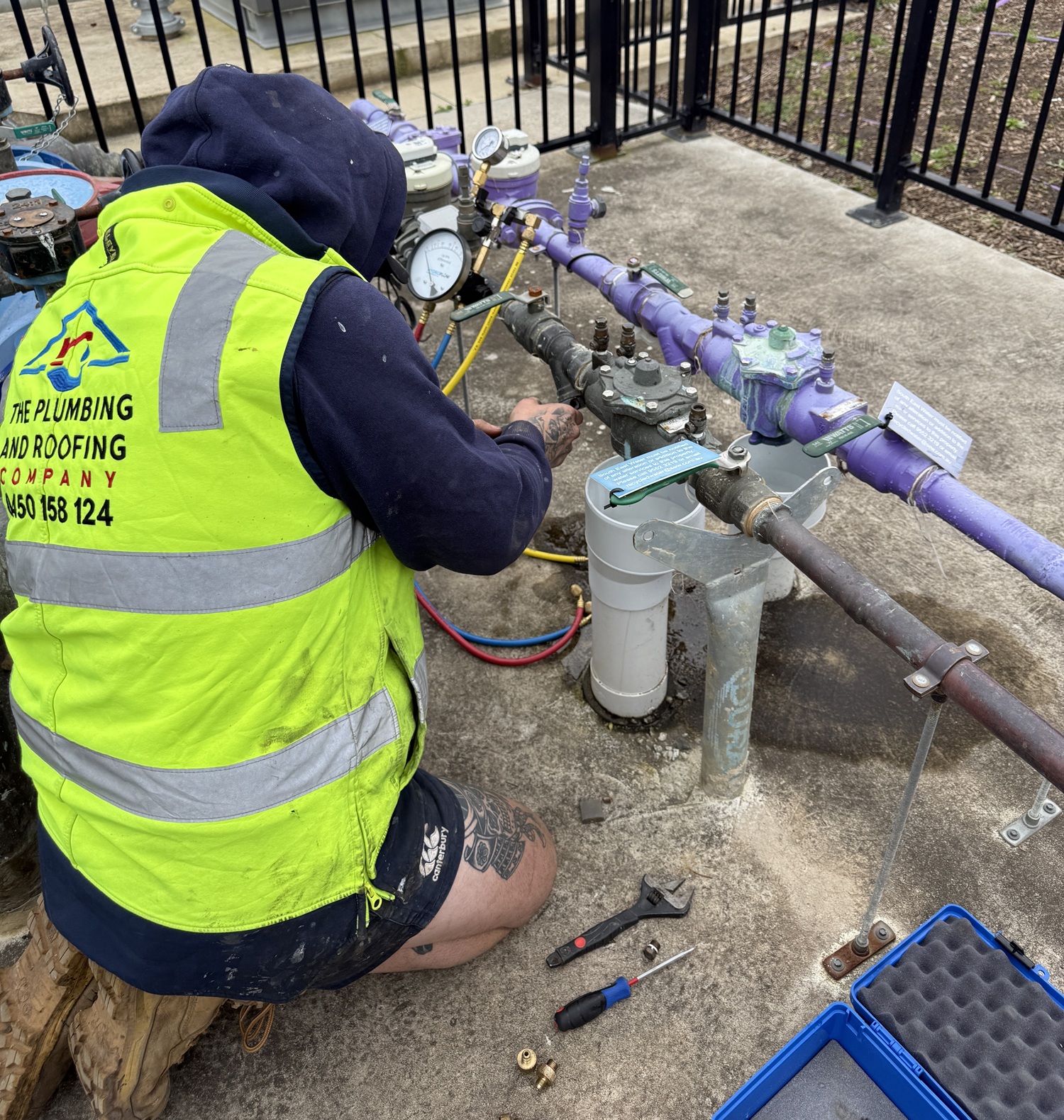 How Do Tree Roots Get Into Pipes? The Complete Alarming Truth for Melbourne Homeowners in 2026