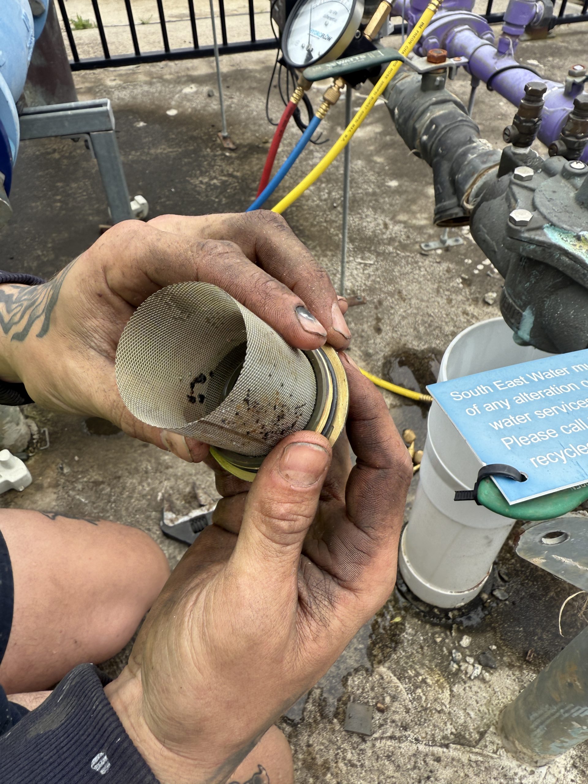 How Do Tree Roots Get Into Pipes and Destroy Your Melbourne Plumbing in 2026?