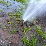 The Plumbing And Roofing Company